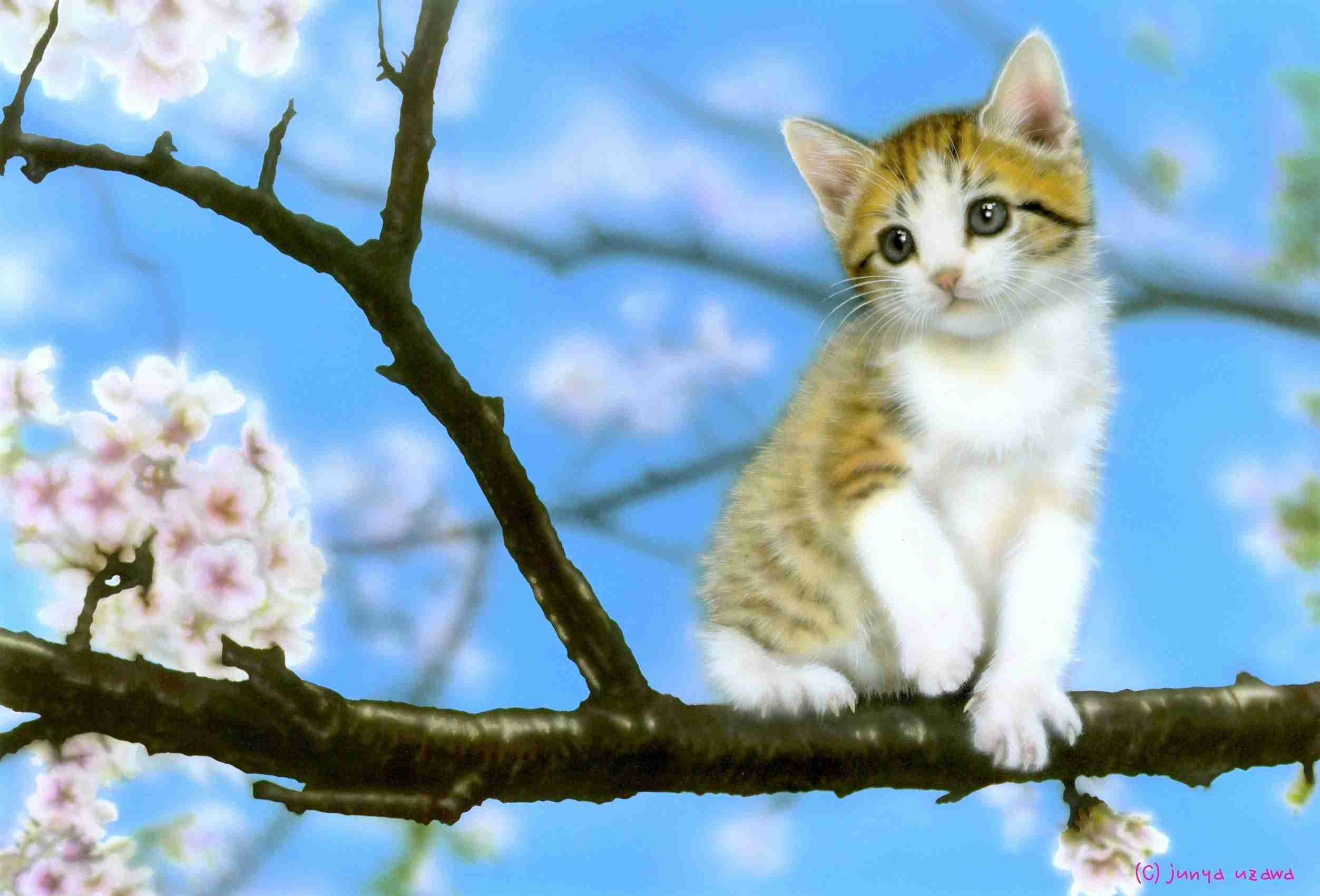 桜を描いた絵画♪