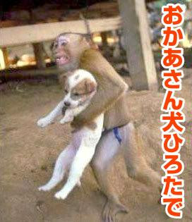 ひとりカラオケに行きたいけど勇気が出ないひと