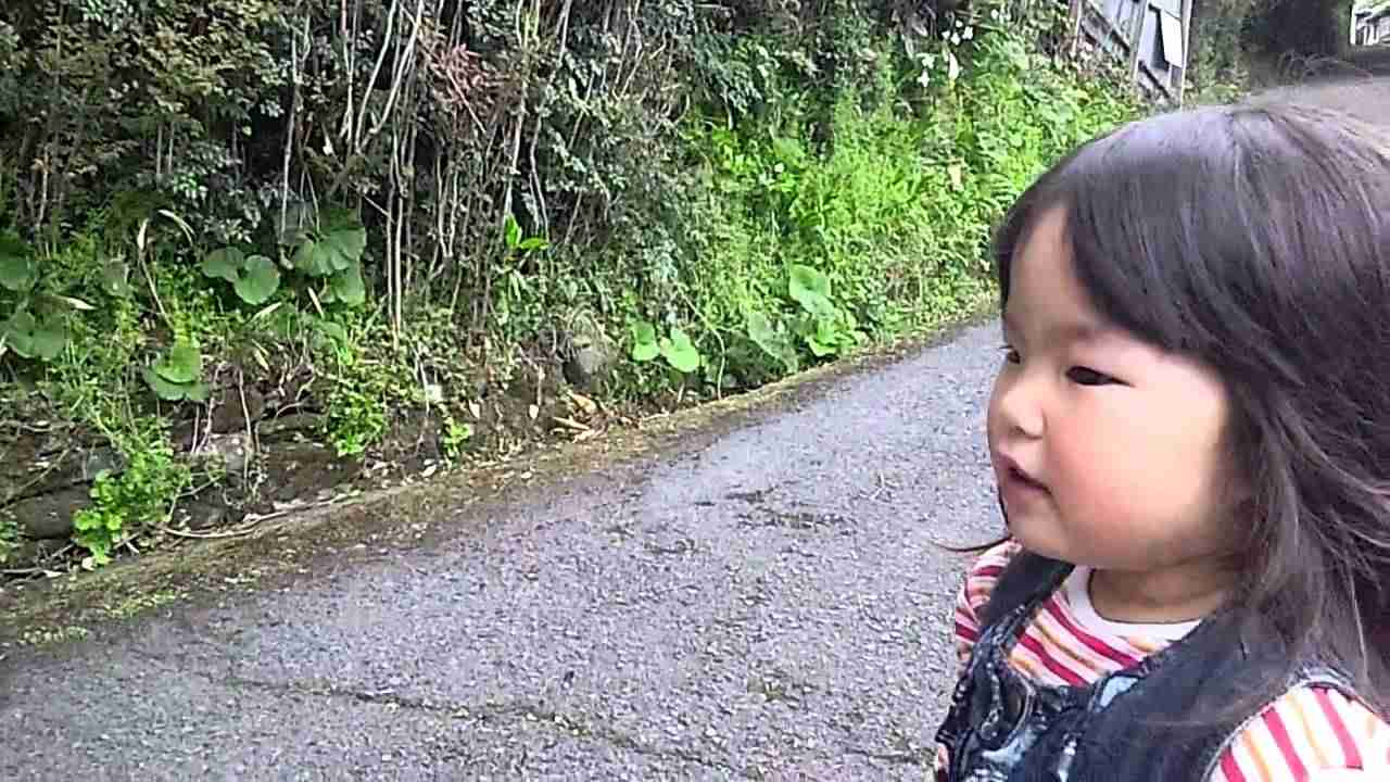 ロバのおじさんチンカラリン。ロバのパン屋がやってくる - YouTube