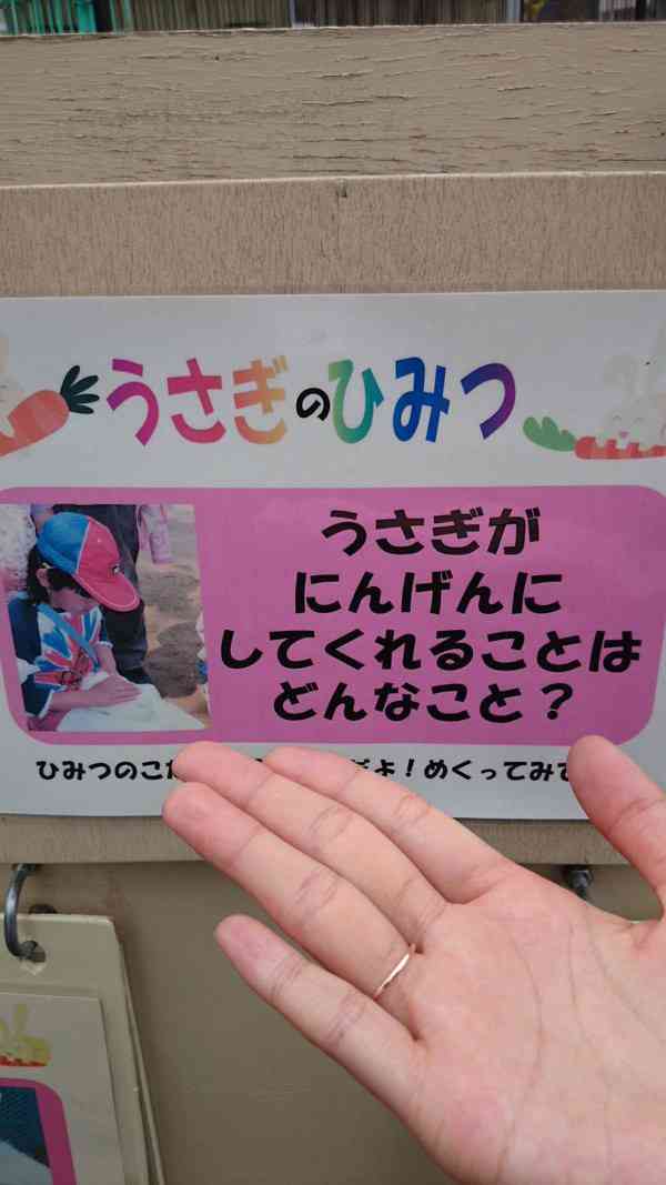 この正解例は卑怯…「うさぎが人間にしてくれること」が想像以上に切なかった