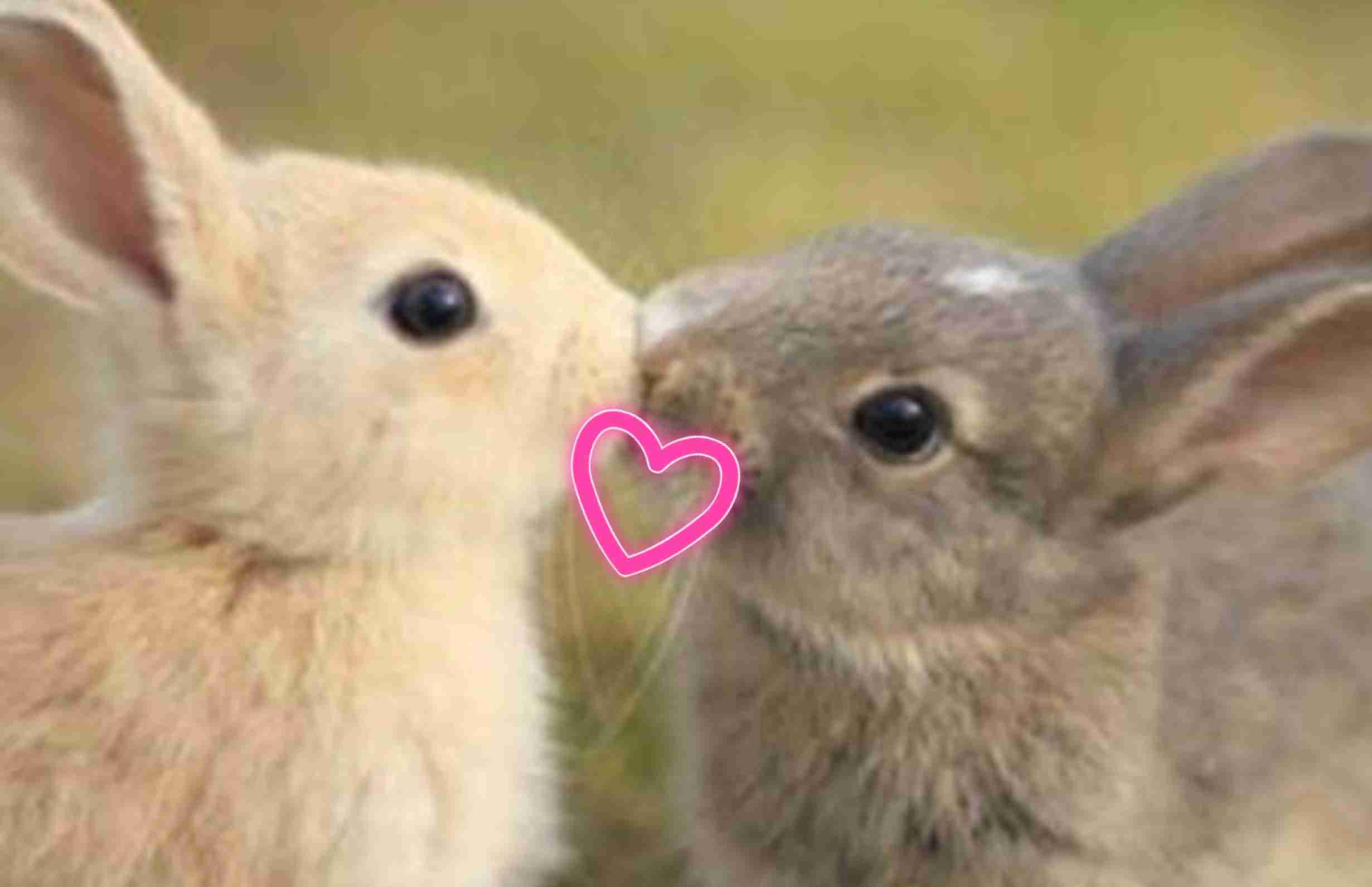 もしかして両想いかも？って思うこと