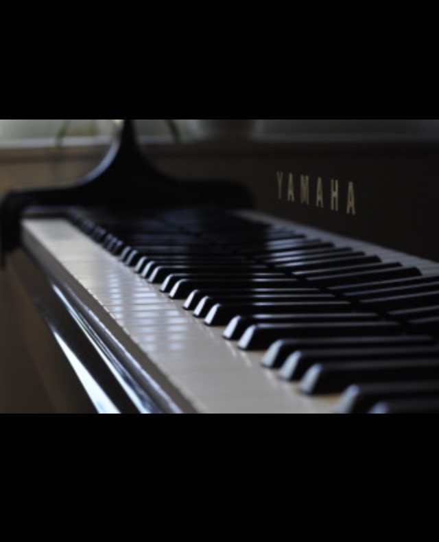 男性が弾けたらかっこいい楽器は ガールズちゃんねる Girls Channel