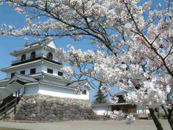 桜の名所を紹介するトピ