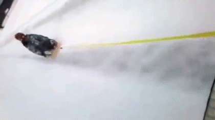 スギちゃんみたいに喋るぜぇ　スギ花粉到来編