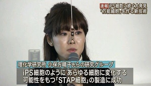 正直見飽きた画像
