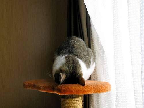 反省している画像