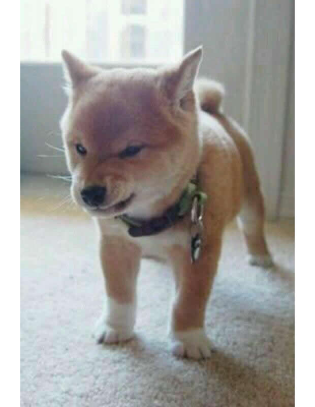 「ゴールデンウィーク・夢の10連休」の実現性高まる？政府や経団連も「休め」と言ってるし