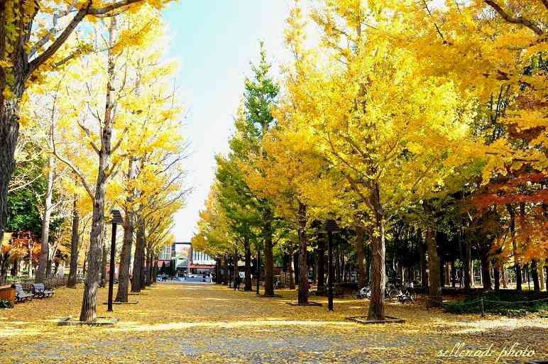 茨城県民集まれ part2
