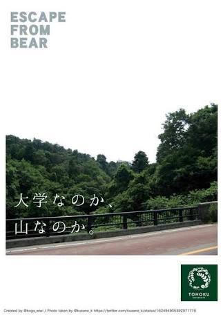 名前を聞いて、賢いな！と思う大学