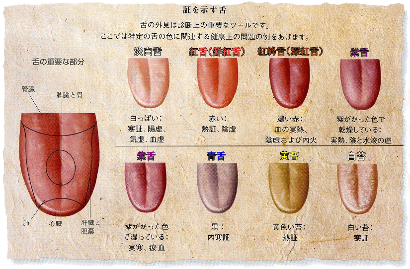 水分過剰摂取気味の方！