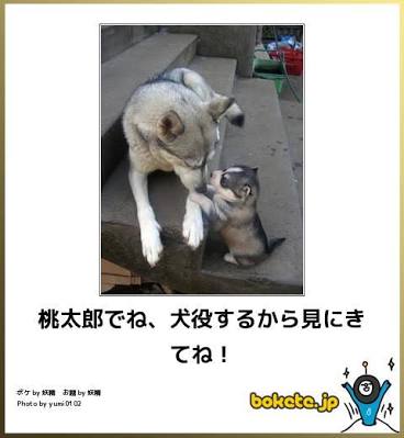 【画像】動物親子の画像を貼るトピ