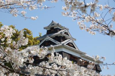 桜の名所を紹介するトピ