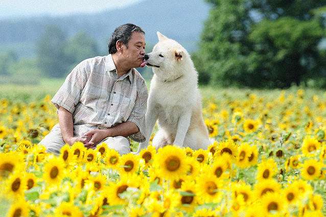 ちょっと変わった場所にいる動物の画像を貼るトピ