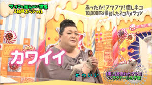 マツコ・デラックス、猫を飼えない理由語る 「まだ追い込まなきゃ自分を」