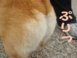 おしりにトラブル抱えてる人