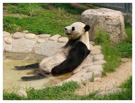 超リラックスしている【動物画像】トピ♪