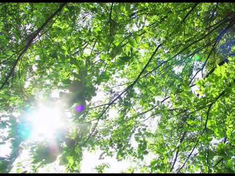 緑の日々　　オフコース - YouTube