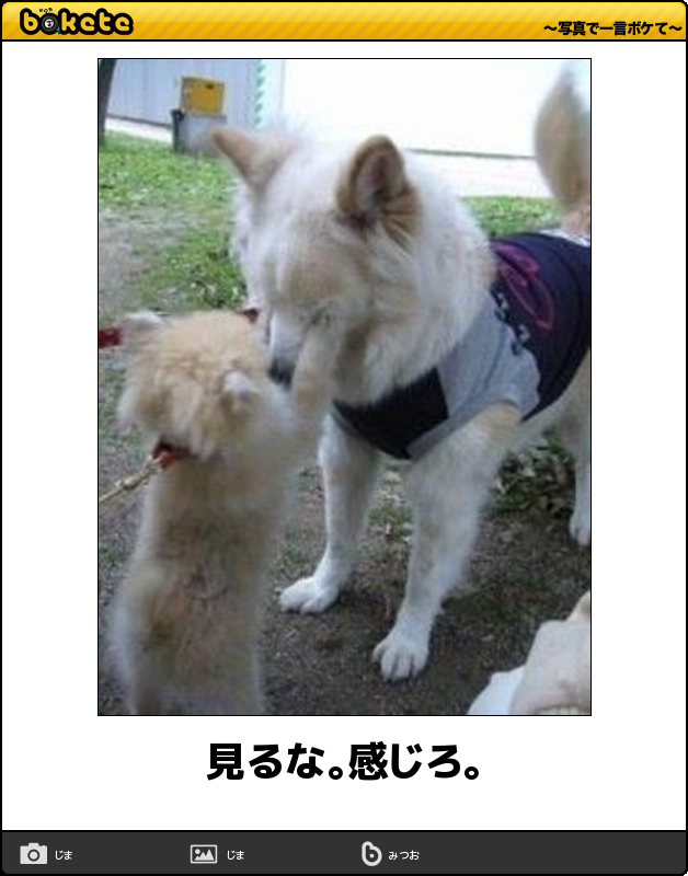 じっと見つめてくる人への対処法
