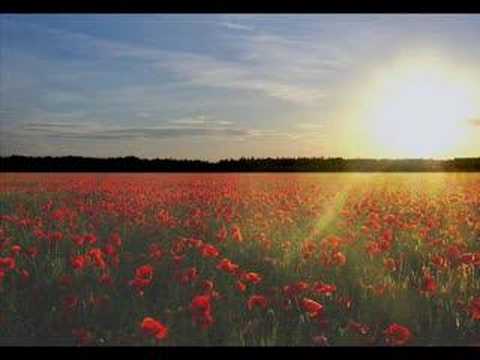 月の繭は神なんです＞＜（Tsuki　no　mayu） - YouTube