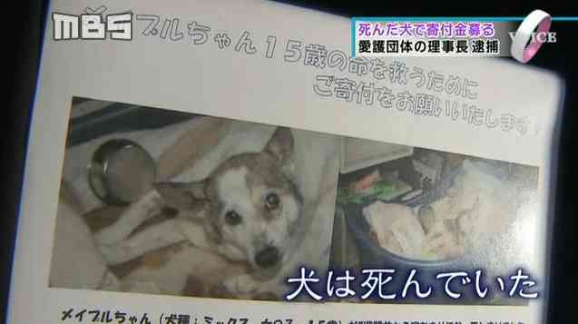「犬の命救うため寄付を」→実は死んだ犬でした…動物愛護団体代表を詐欺容疑で逮捕
