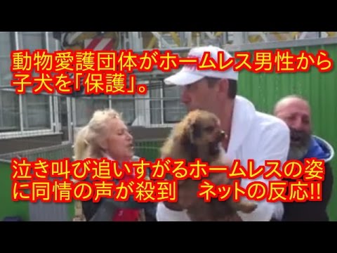 動物愛護団体がホームレス男性から子犬を「保護」。動画あり　泣き叫び追いすがるホームレスの姿に同情の声が殺到　パリ　ネットの反応 - YouTube