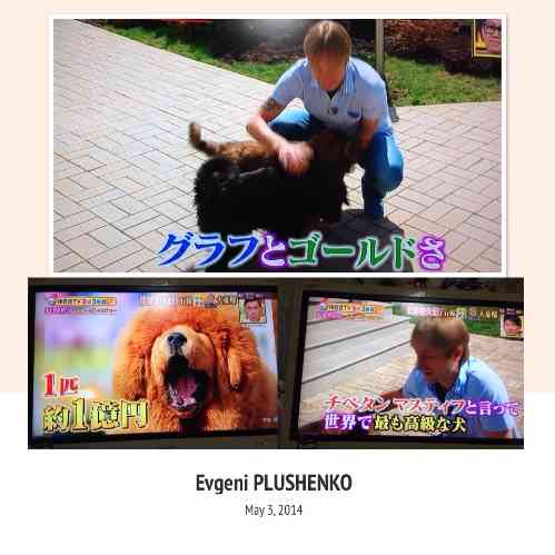 みなさんのペットを見せてください！