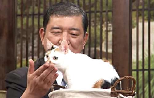 テレビ東京　看板ネコが人気の異色報道番組、3月で終了