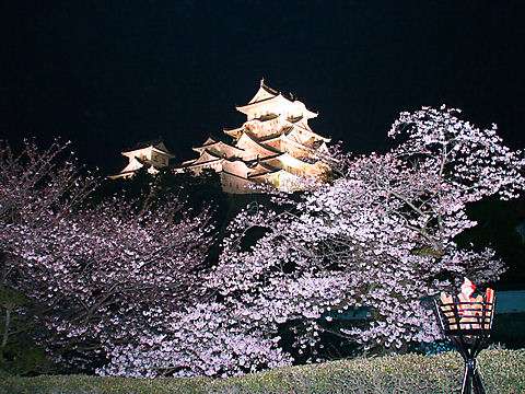 姫路城のプロジェクションマッピングに批判続出「世界遺産が…」「ラブホに見える」