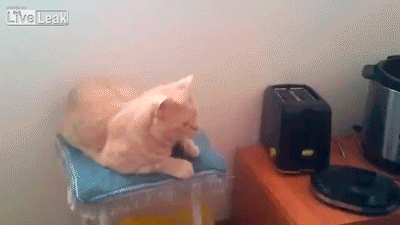 とにかくトラブルばかり起きるトピ