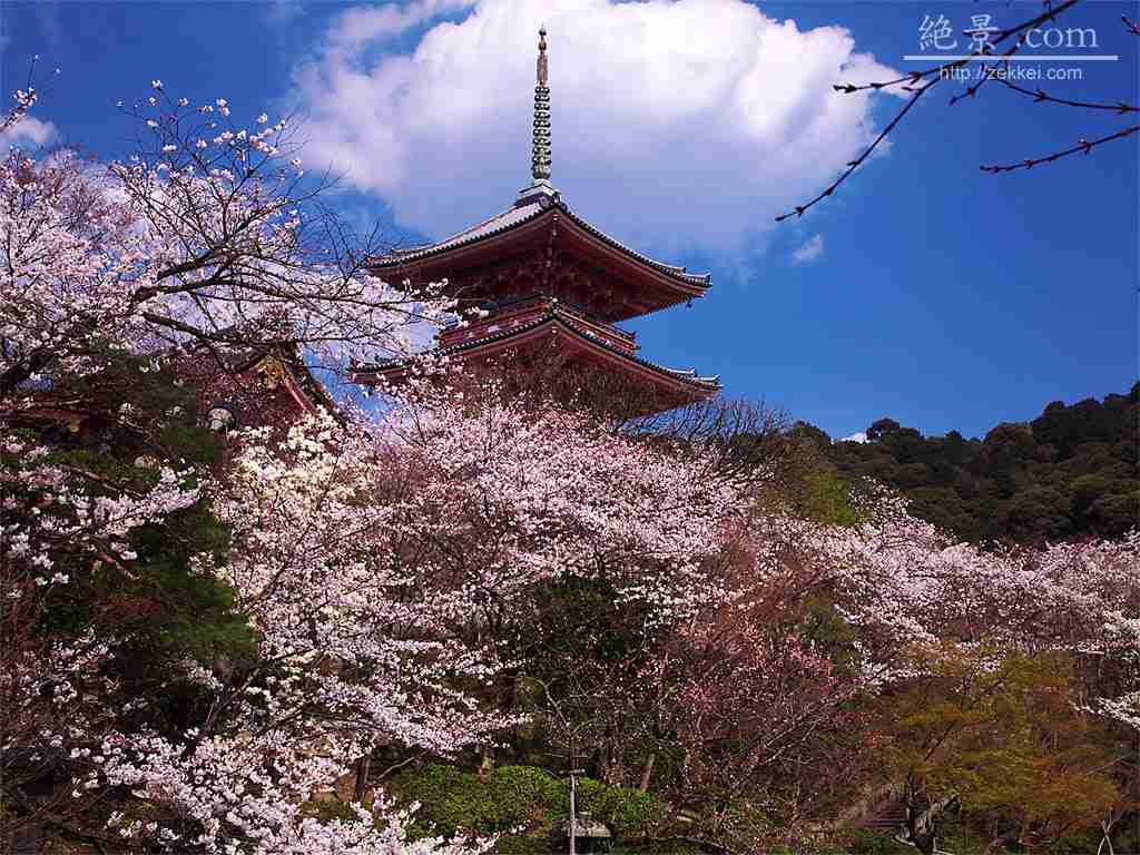 日本の男のこういうところが嫌だ