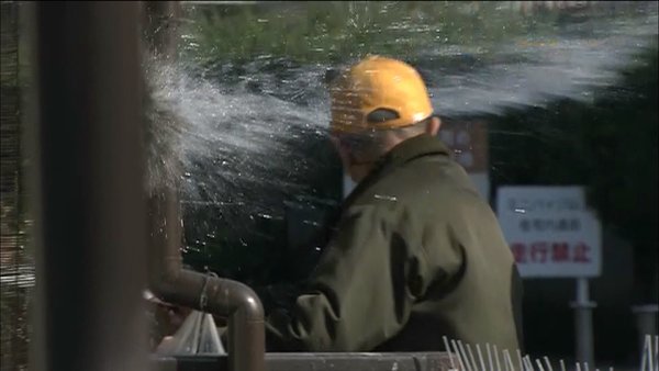 ハトに餌の男性、市職員への水かけで任意聴取