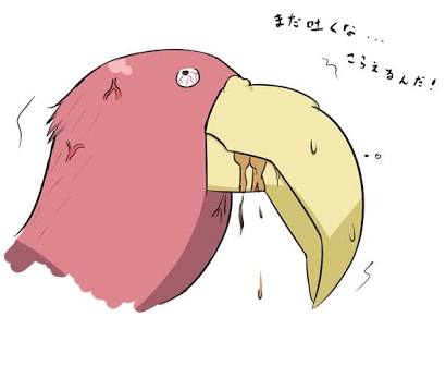 年上の男性が好きな方