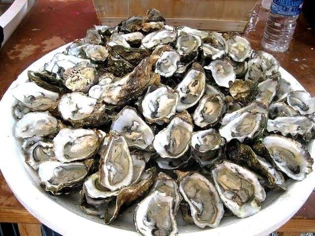 まったり居酒屋開店〜16店舗目
