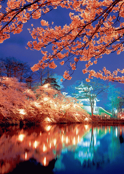 桜の名所を紹介するトピ