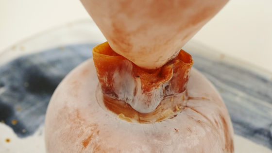 いかの干物にアツアツの酒を入れて飲んだ後に食べてしまう「イカグラス」