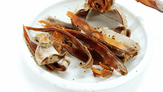 いかの干物にアツアツの酒を入れて飲んだ後に食べてしまう「イカグラス」