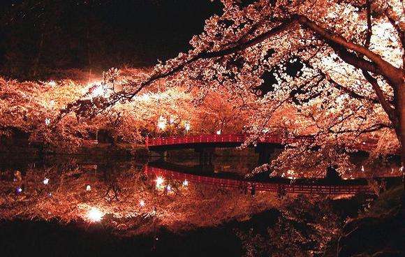 桜の名所を紹介するトピ