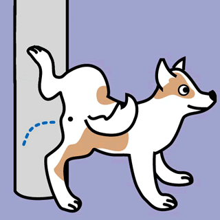 犬の尿原因？支柱腐食見つかる　京都・向日市、交換へ