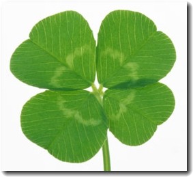 【実況、感想】金曜プレミアム映画「暗殺教室」