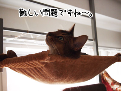 子育て中に言われて嬉しかったこと