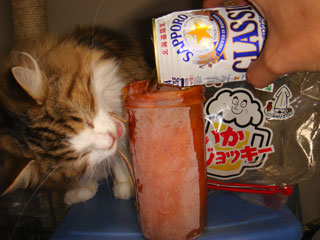 いかの干物にアツアツの酒を入れて飲んだ後に食べてしまう「イカグラス」