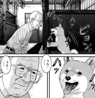 シュールな画像トピ