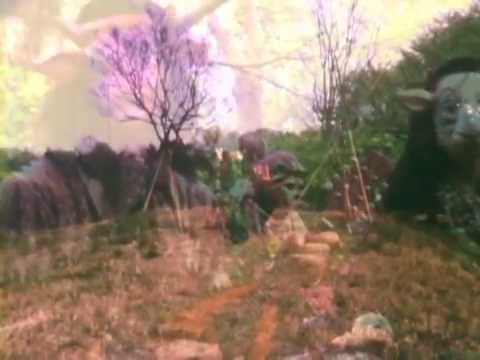 Kikagaku Moyo/幾何学模様 "Kodama" Official Music Video - YouTube