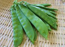 野菜嫌いでも食べれそうなメニュー