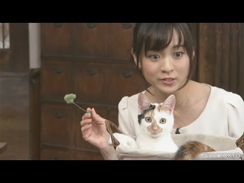 【にゃーにゃ】田勢康弘の週刊ニュース新書：にゃーにゃの成長記録(2015.1.31）【猫】 - YouTube