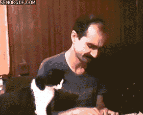 動物のGIF画像が集まるトピ