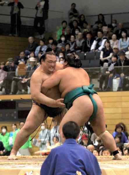 稀勢の里、高安に大歓声　22年ぶり、つくば場所 | きたかんナビ