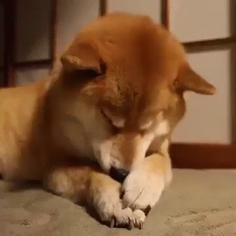 これがあるから頑張れる!
