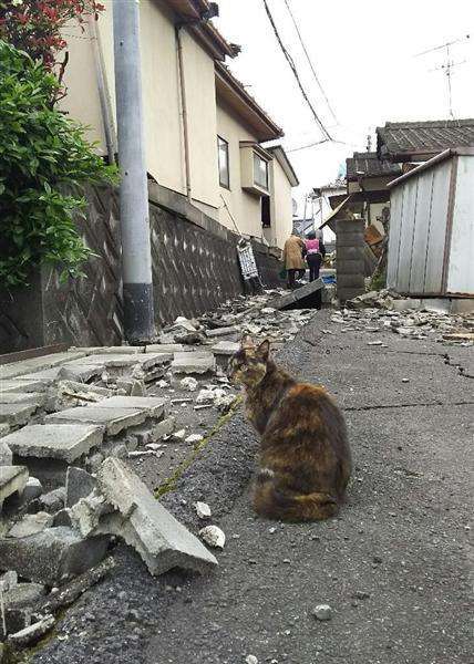 【熊本地震】「人の水もないのに犬に飲ませるのか？」ペット同伴避難でトラブル相次ぐ