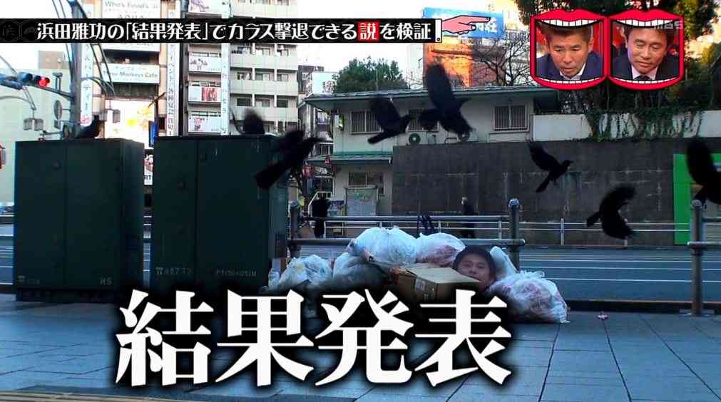 面白かったTVでの出来事・ワンシーン